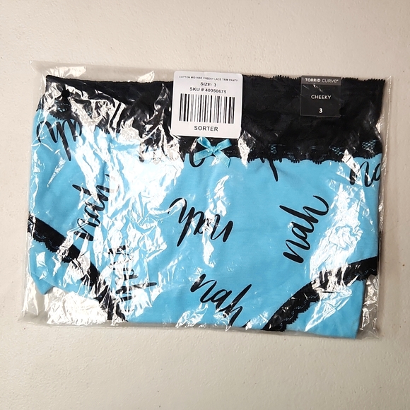 ♥️NWT VINTAGE TORRID PANTY - MID-RISE - CHEEKY - LACE TRIM - GRAPHIC NAH - Picture 5 of 9